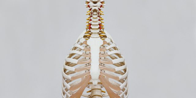 il diaframma il centro del nostro corpo