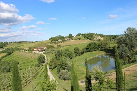 Accessibilità Acetaia Sereni