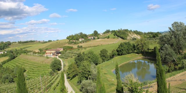 Accessibilità Acetaia Sereni