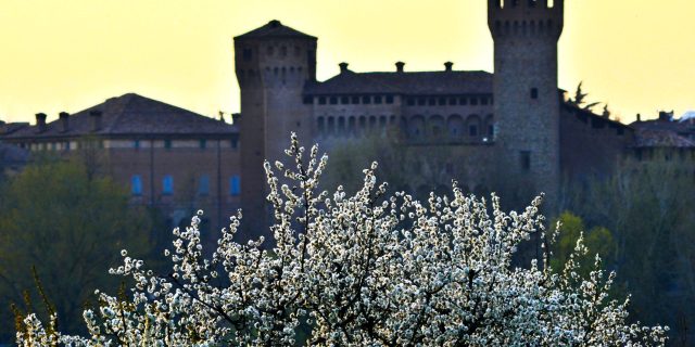 Vignola accessibile - Tuvaichepuoi