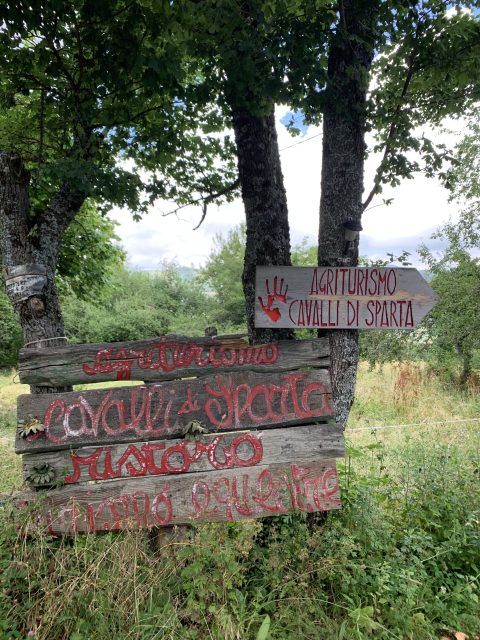 Cavalli di Sparta - Tuvaichepuoi