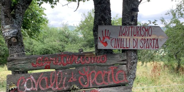 Cavalli di Sparta - Tuvaichepuoi